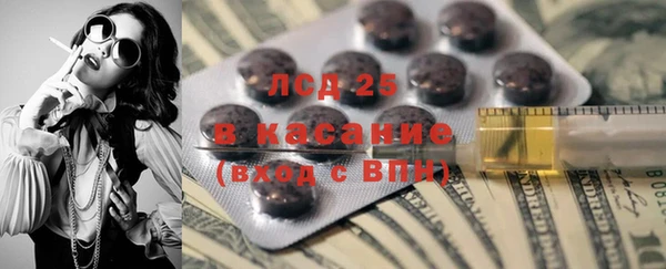 крисы Абаза