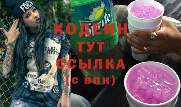 крисы Абаза