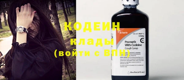 крисы Абаза