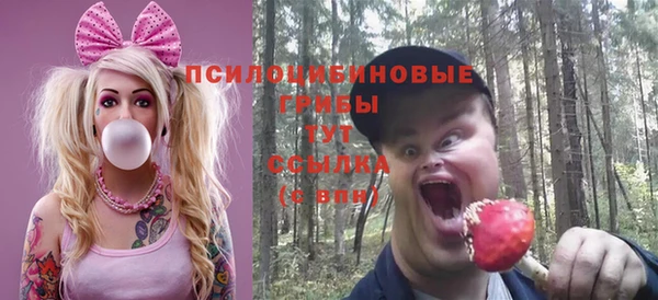 крисы Абаза
