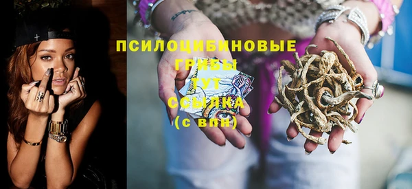 крисы Абаза
