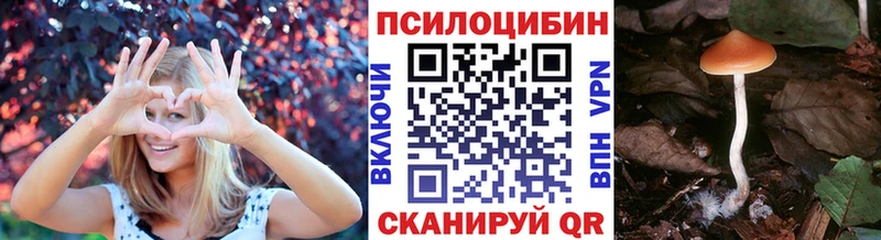 Псилоцибиновые грибы Psilocybine cubensis  Гусиноозёрск 