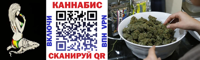 Бошки марихуана план  Гусиноозёрск 